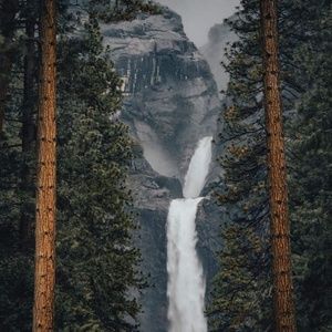 Meet your Posher, Nina